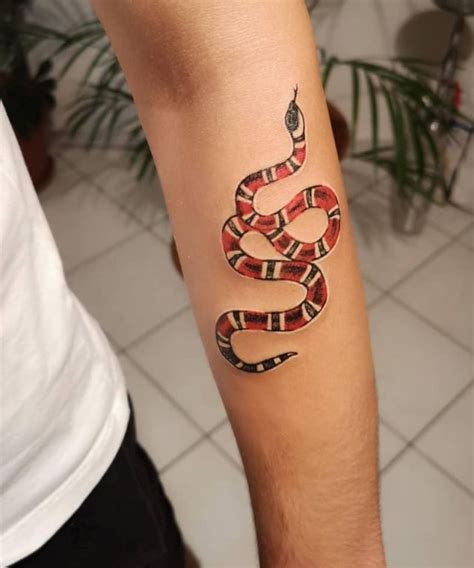 gucci pig tattoo|gucci snake tattoos.